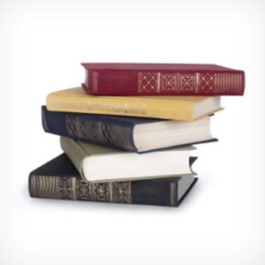 Constitutional Law 2